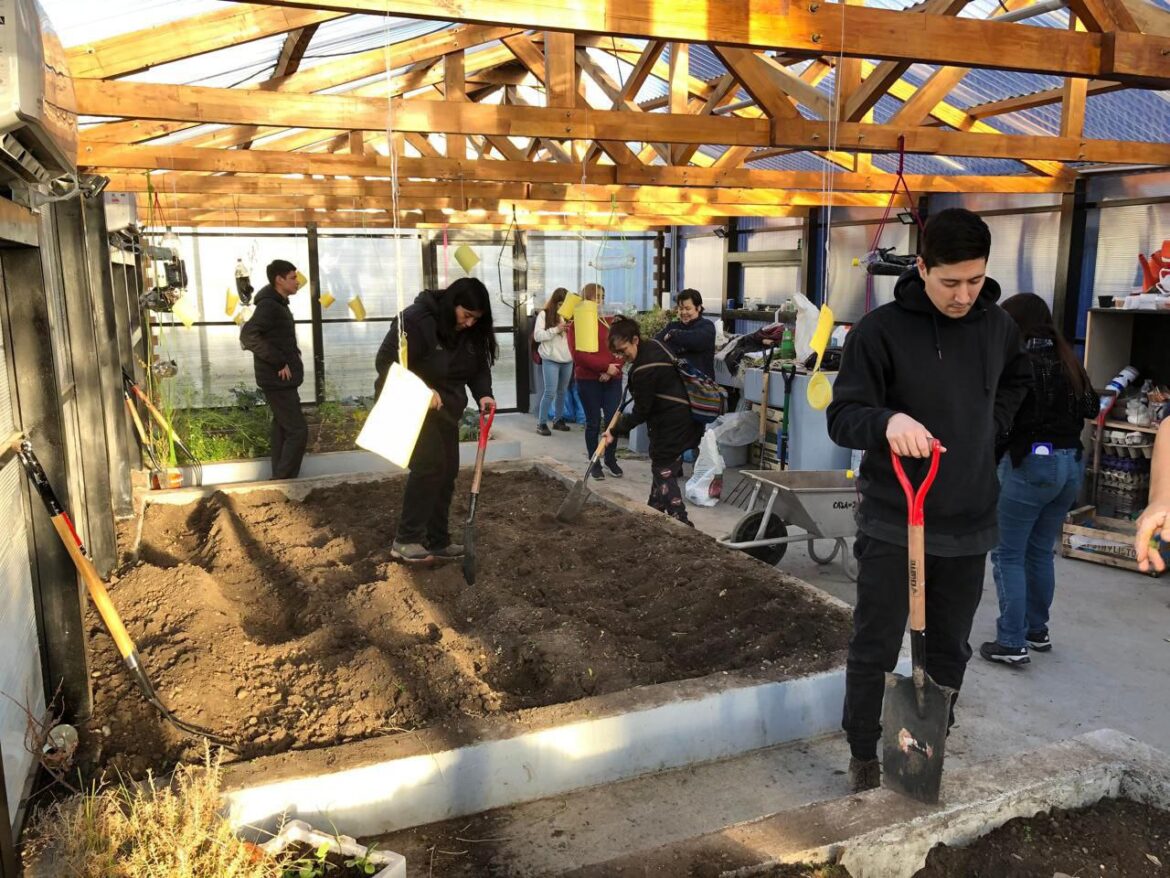 «Formarte es crecer» capacita a más de 2000 vecinos en 2024, abriendo nuevas oportunidades de empleo
