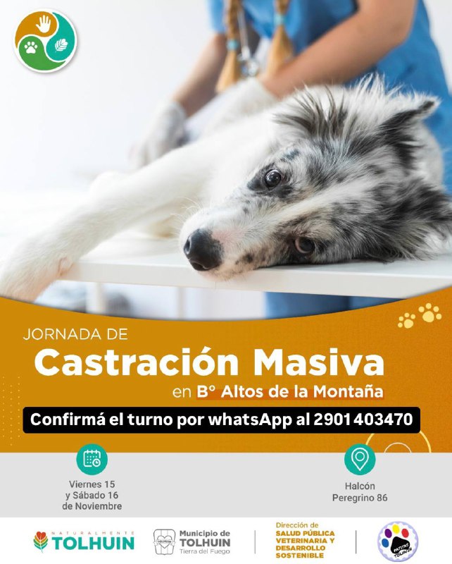El Municipio de Tolhuin organiza una nueva jornada de castración masiva en el Barrio Altos de la Montaña