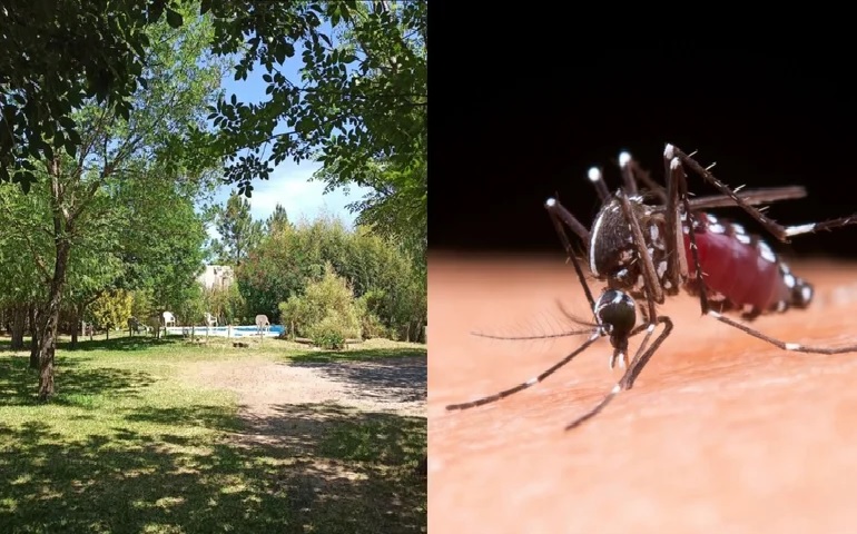 Dengue: Un Nuevo Sistema de Inteligencia Artificial para Prevenir Brotes en Medio de la Amenaza de Recortes