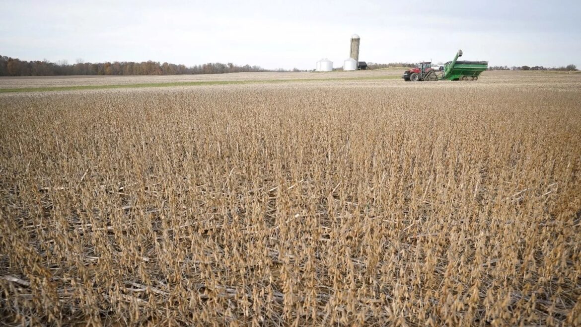 Reducción de retenciones: dudas y expectativas en el sector agropecuario