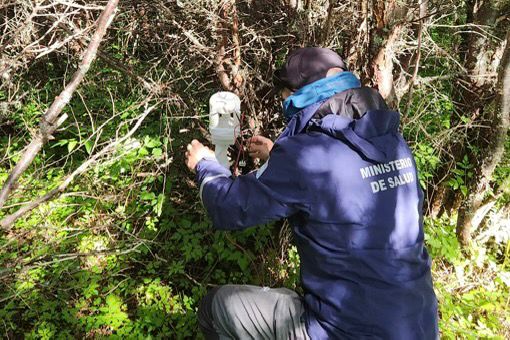 Gobierno Brindó Recomendaciones Para Fueguinos Que Viajen A Zonas Con Circulación De Dengue
