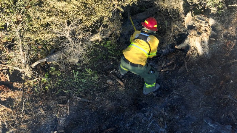 El Incendio Declarado En Estancia San Justo Ha Sido Extinguido