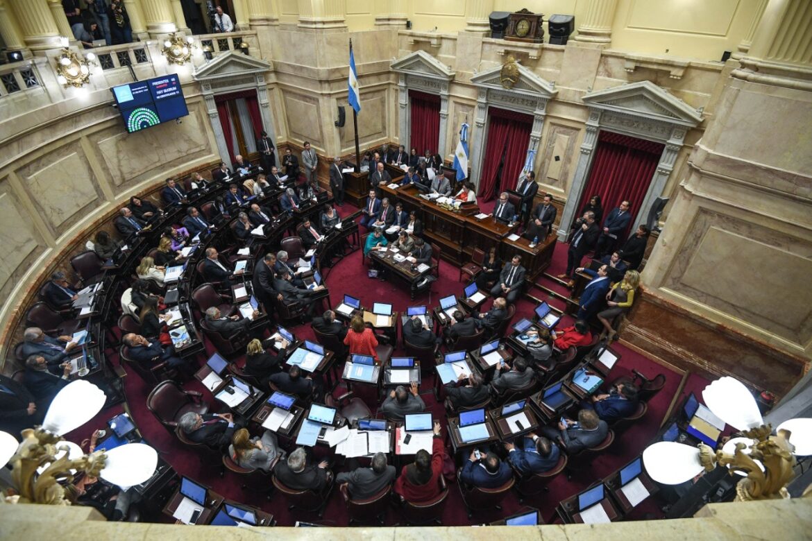 Mañana se discutirá en el Senado de la Nación si se suspenden las PASO