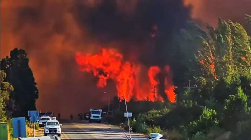 Campaña solidaria por los incendios en El Bolsón