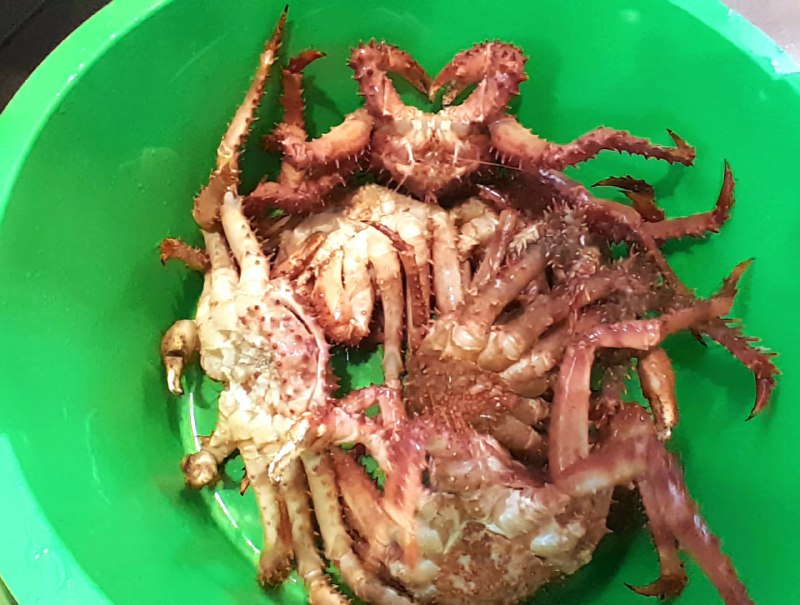 Se Decomisaron Piezas De Centolla En Un Restaurante De Ushuaia