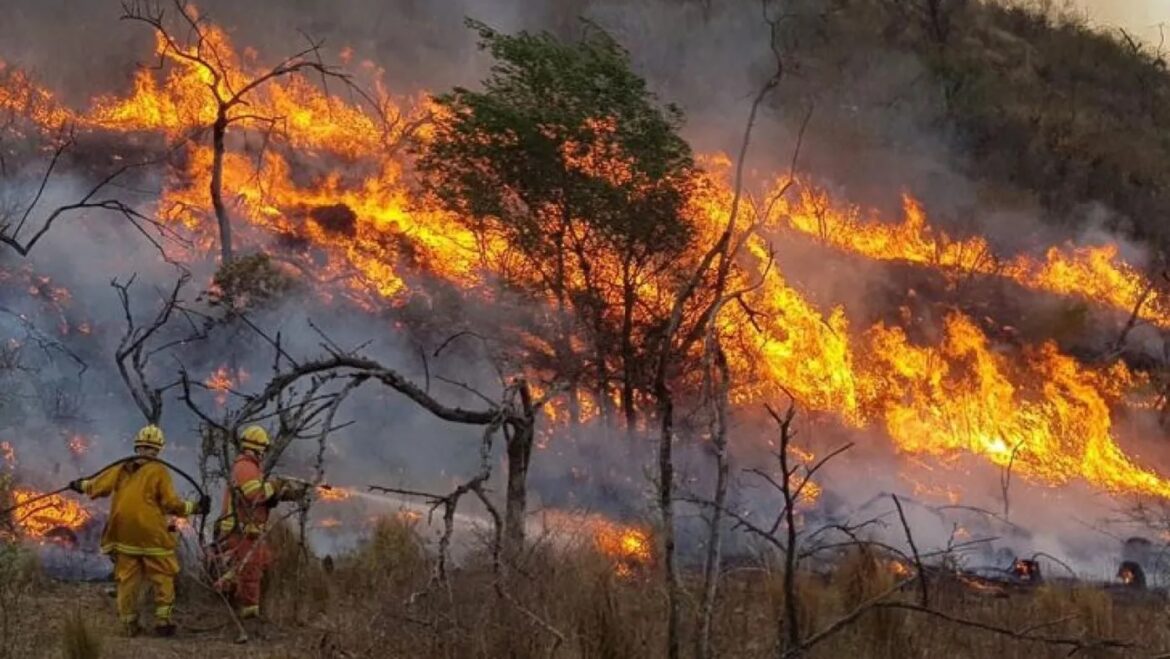 Residentes de El Bolsón en La Plata organizan colecta solidaria para ayudar a las víctimas de los incendios forestales