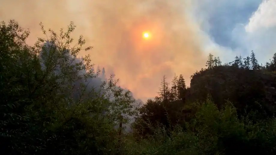 Incendio en El Bolsón: Más de 3.000 hectáreas devastadas y el fuego continúa fuera de control