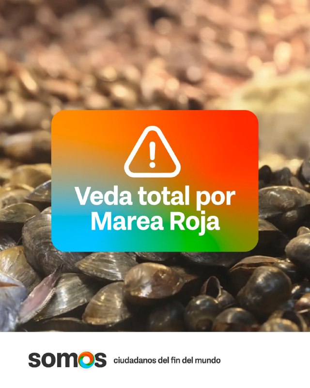 Por Marea Roja Se Declara Veda Total De Moluscos En Toda La Provincia