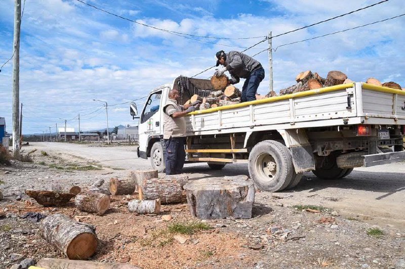 El Municipio actualiza el padrón de beneficiarios del servicio de leña en Tolhuin