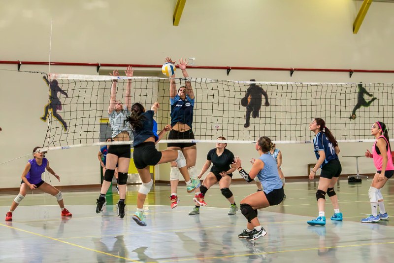 Concentraciones De Los Seleccionados De Atletismo Y Vóley