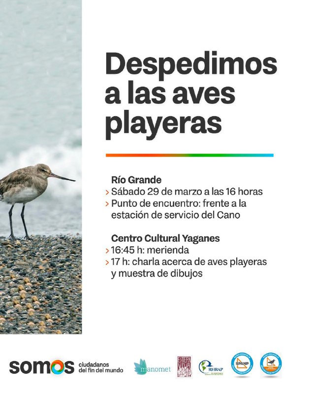 Se Llevará A Cabo Una Jornada De Despedida De Las Aves Playeras Migratorias