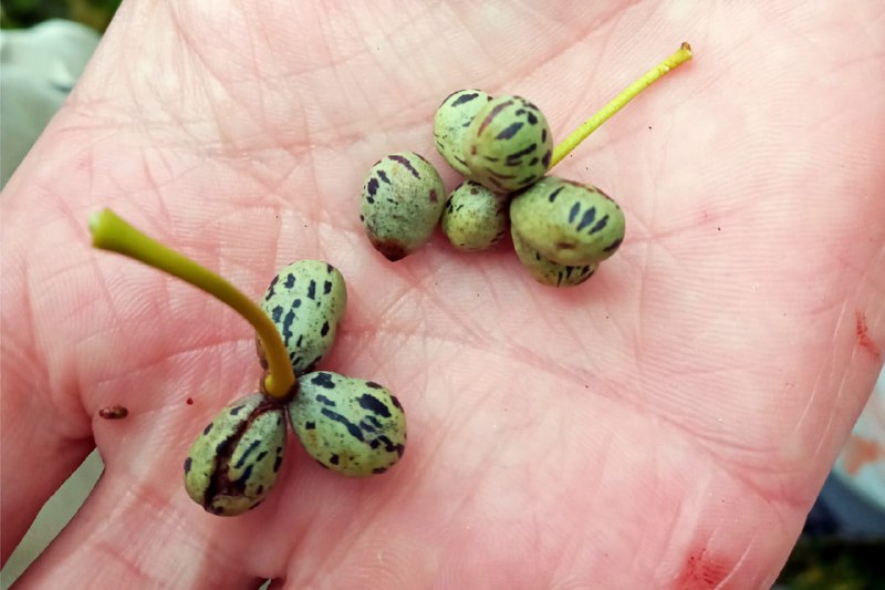 Se Amplían Las Oportunidades Para Producir Alimentos En Tierra Del Fuego