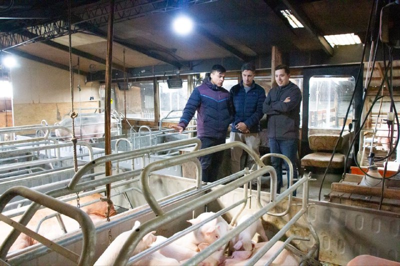 El Municipio De Río Grande Acompaña A Productores Porcinos De La Ciudad