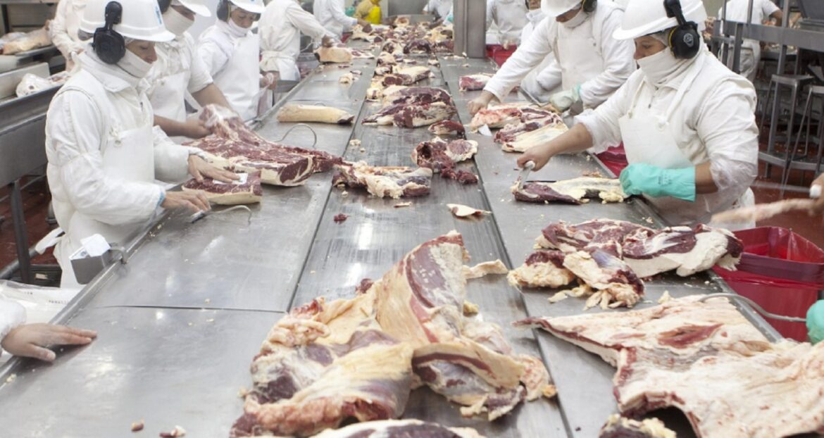 Senasa flexibiliza las condiciones sanitarias para el ingreso de carnes y material reproductivo a la Patagonia
