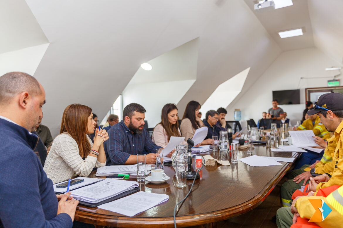 LEGISLATURA: Nueva conformación para las Comisiones de Asesoramiento legislativo 2025