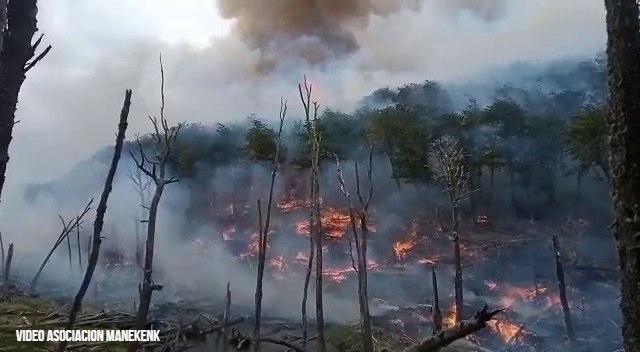 La reserva Corazón de la Isla reabre parcialmente tras el incendio de 2022: qué sectores están habilitados y cuáles restricciones se mantienen