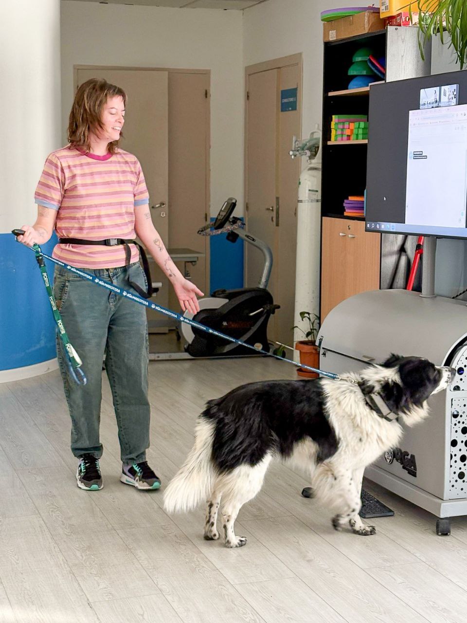 BOCALÁN ARGENTINA YA CAPACITA A PROFESIONALES DEL MUNICIPIO EN TERAPIA ASISTIDA POR PERROS