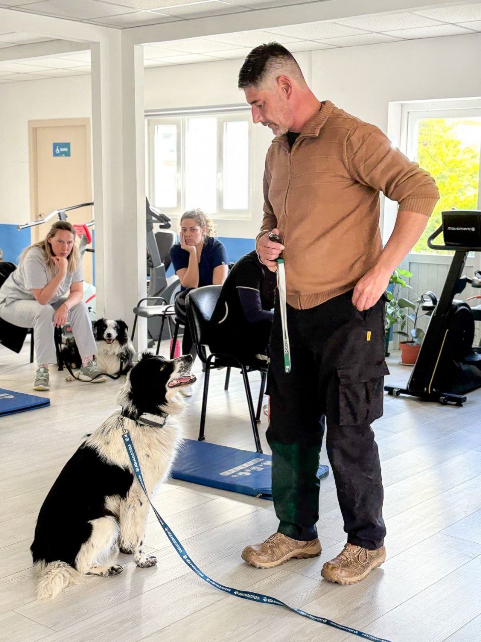 Bocalán Argentina Ya Capacita A Profesionales Del Municipio En Terapia Asistida Por Perros