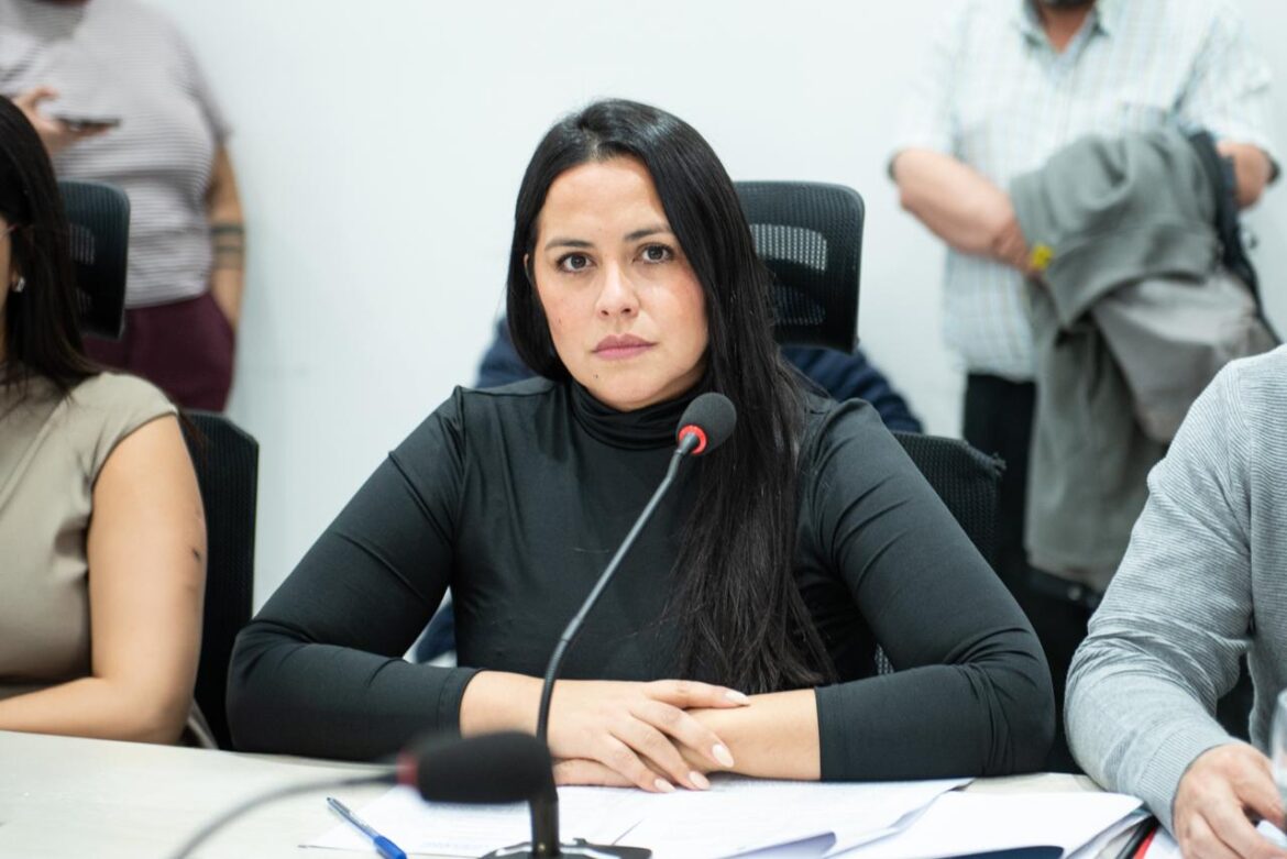 ARCE: “Buscamos resolver la regulación del ex barrio APyMeMa para otorgarles la titularidad a los vecinos”