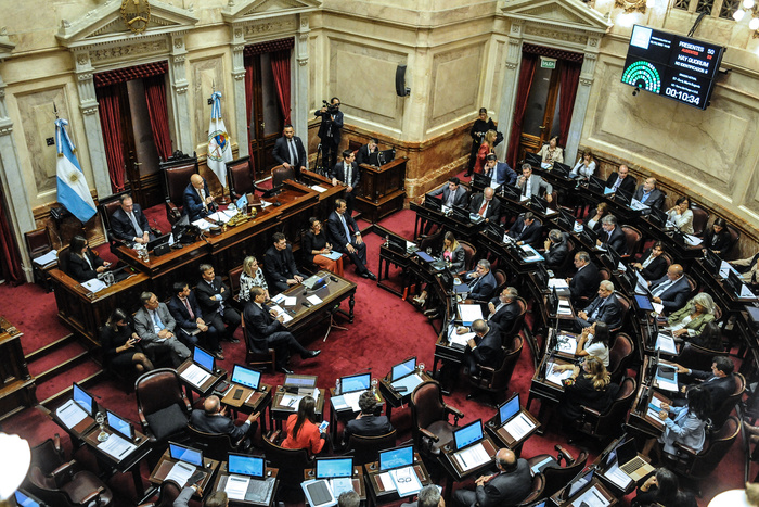 El Senado impulsa la Ley de Ficha Limpia mientras Diputados activa una comisión por el escándalo de las criptomonedas