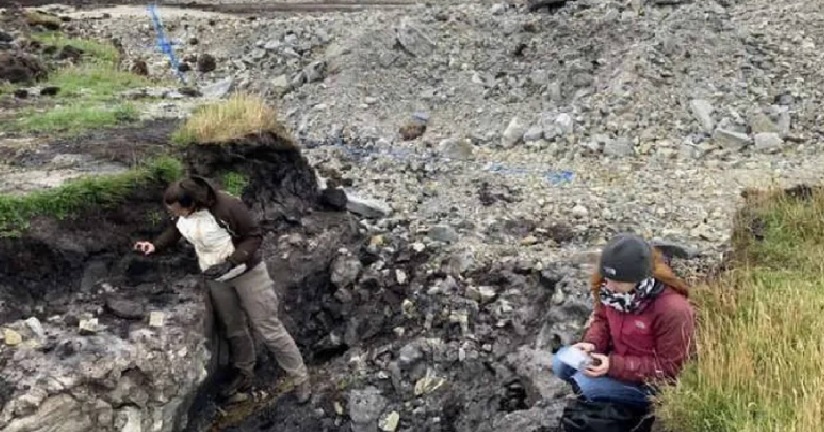 REVELACIÓN CIENTÍFICA EN LAS ISLAS MALVINAS: DESCUBREN EVIDENCIAS DE UNA ANTIGUA SELVA TROPICAL