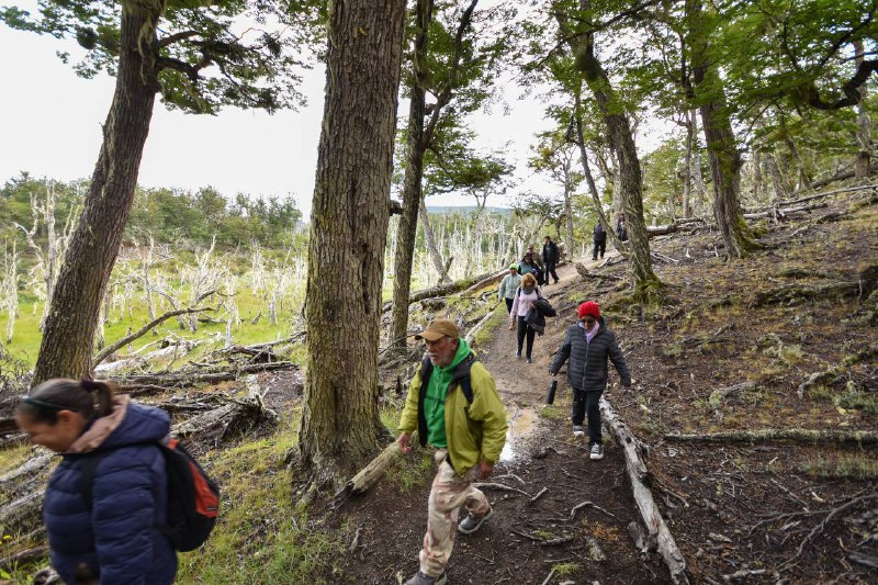 Tolhuin lanza un Taller de Diseño y Mantenimiento de Senderos en ambientes naturales