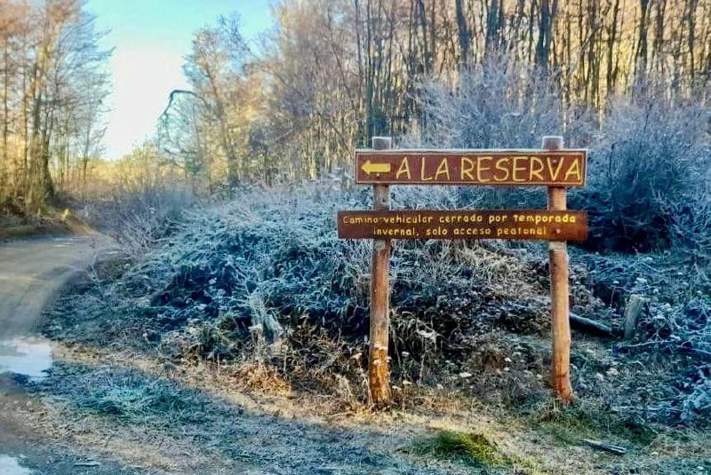 Restringen Accesos Vehiculares A Tres Reservas Provinciales Por La Temporada Invernal