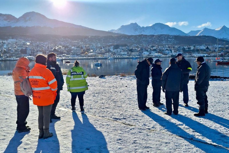 “La Mejor Forma De Cuidar La Fauna Es Respetar Su Espacio”