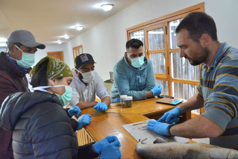 SE CONCRETÓ UNA NUEVA CLASE DEL CURSO DE ACTUALIZACIÓN PARA PESCADORES Y ACUICULTORES ARTESANALES