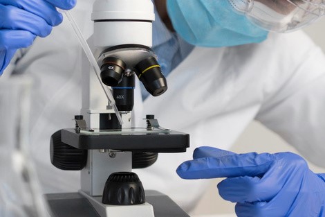 Descubren un nuevo escudo bacteriano contra virus: alerta para las terapias alternativas a los antibióticos