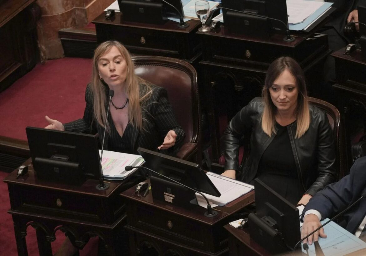 El Senado rechaza la Ley de Ficha Limpia en una votación ajustada: acusaciones de «proscripción» y tensiones políticas