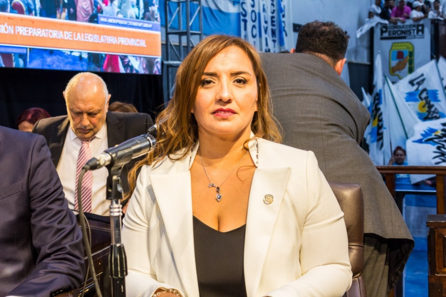 Tensión en el Congreso: Oposición logra fecha para tratar emergencia pediátrica y presupuesto universitario, pero la sesión deriva en conflicto