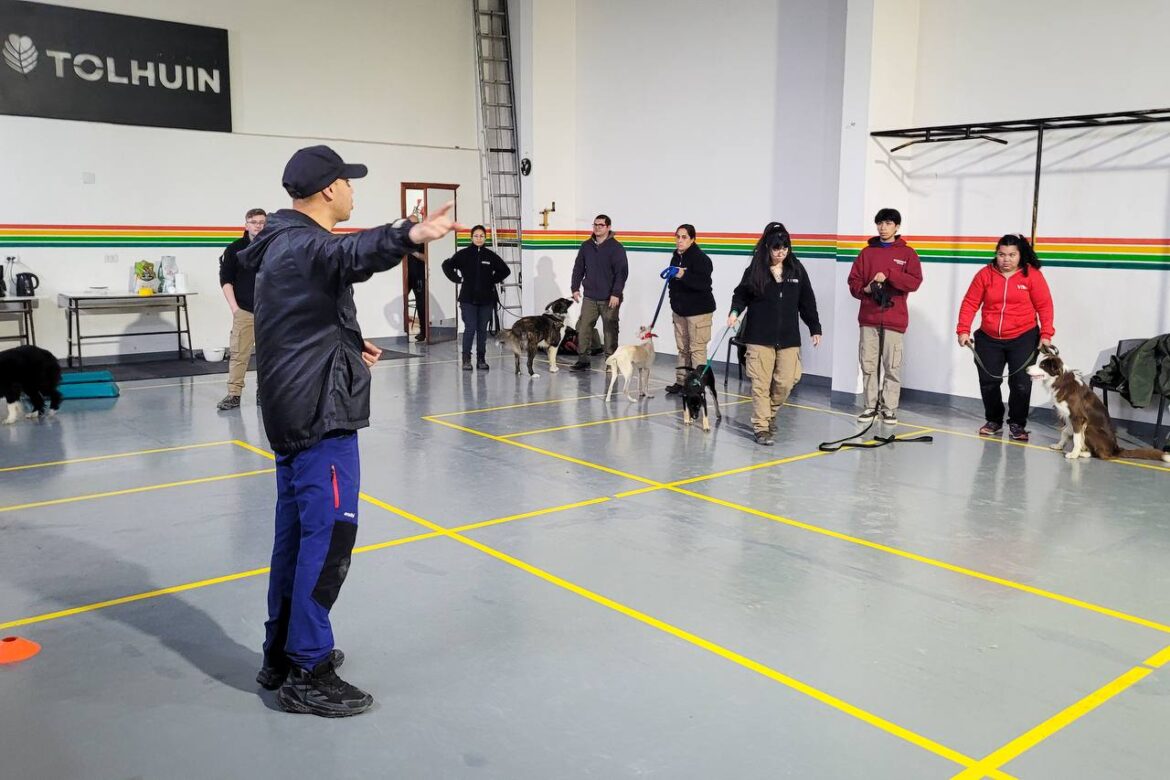 Tolhuin cerró con éxito el Taller de Educación Canina y Cuidado Responsable