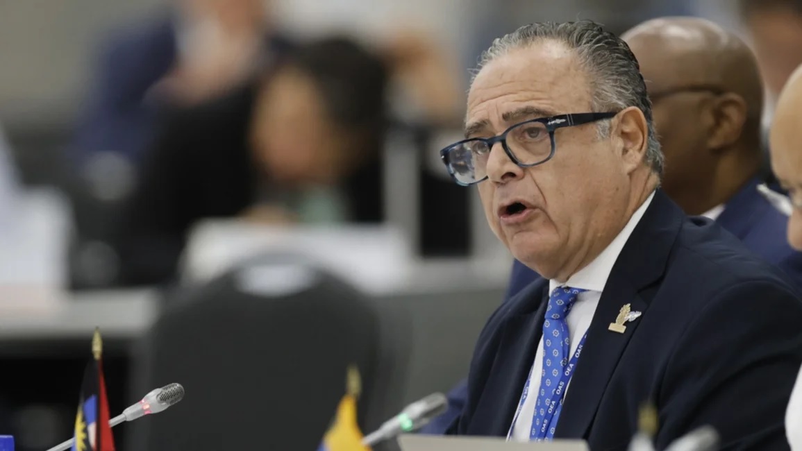 La OEA insta a reanudar el diálogo por Malvinas y Milei enfatiza acciones concretas