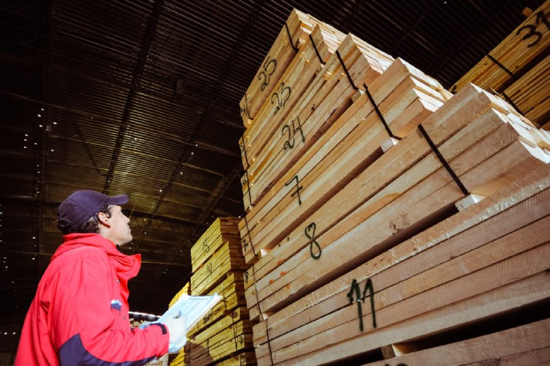Tierra Del Fuego Exporta Pellets De Lenga Y Fortalece La Industria Forestal Local