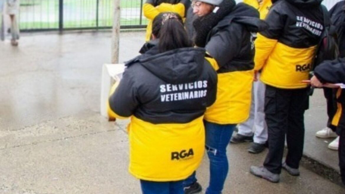 EL MUNICIPIO INTERVINO EN UNA VIVIENDA DONDE HABÍA PERROS HACINADOS