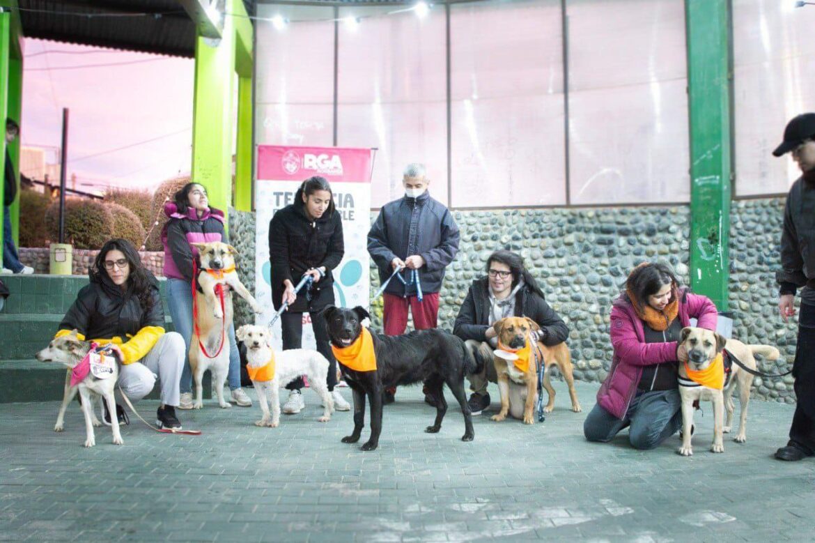 EN EL DÍA DEL AMIGO, EL MUNICIPIO FORTALECE LA TENENCIA RESPONSABLE CON UNA JORNADA DE ADOPCIÓN