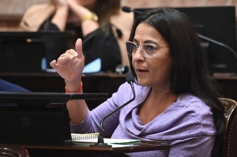 Carolina Moisés advierte sobre el veto presidencial a leyes sociales y promete insistir en el Congreso