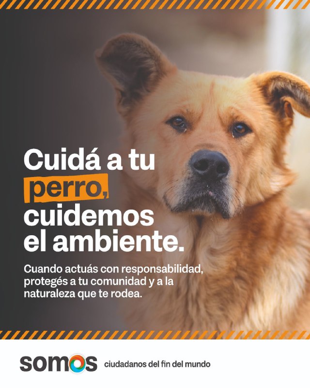 Gobierno Lanza La Campaña «Cuidá Tu Perro, Cuidemos El Ambiente» Para Frenar Los Impactos De Los Perros Sueltos Y Asilvestrados