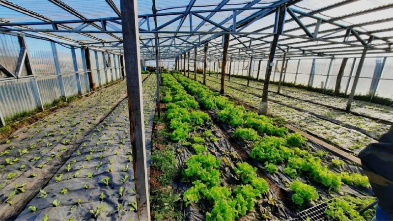 Gobierno Impulsa La Producción Local Con Un Nuevo Protocolo Para El Sello De Calidad Certificada De La Provincia