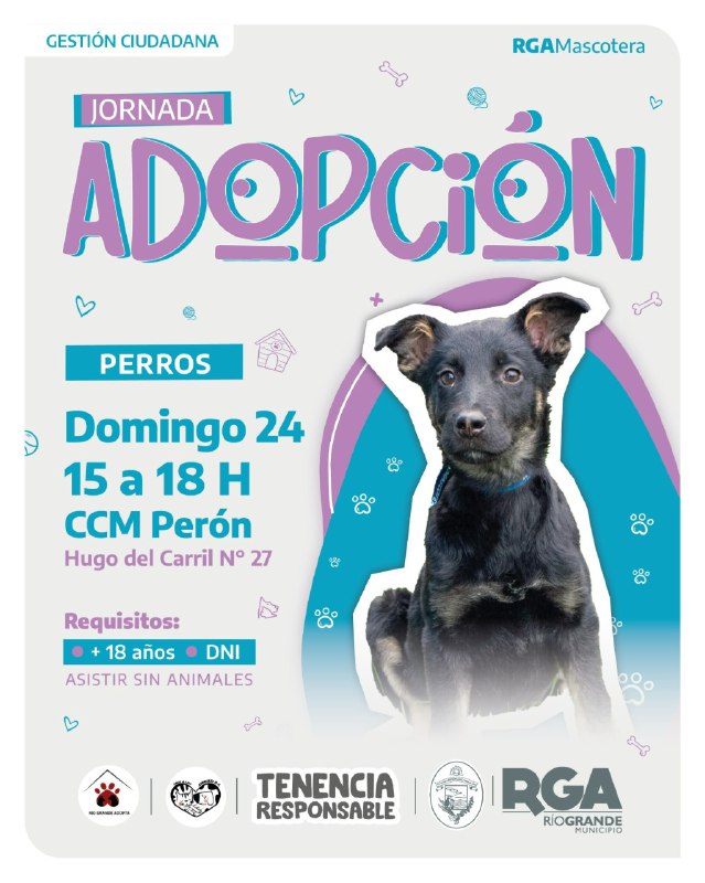 RGA MASCOTERA: SUMÁ UN AMIGO DE CUATRO PATAS A TU VIDA