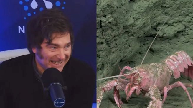 El streaming de la ciencia supera en audiencia al Presidente Milei