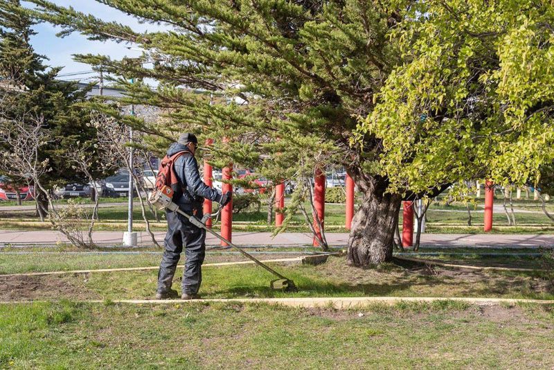 Una Transformación Verde y Colorida Toma la Ciudad de Río Grande