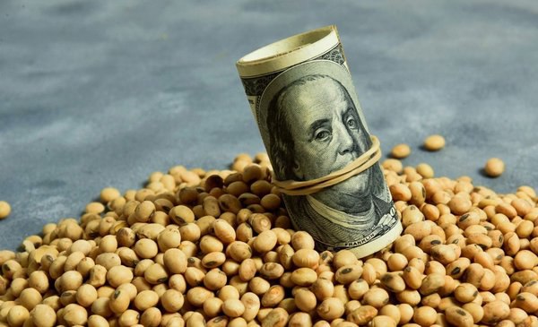 Un Regalo Millonario en Divisas para los Gigantes del Agro