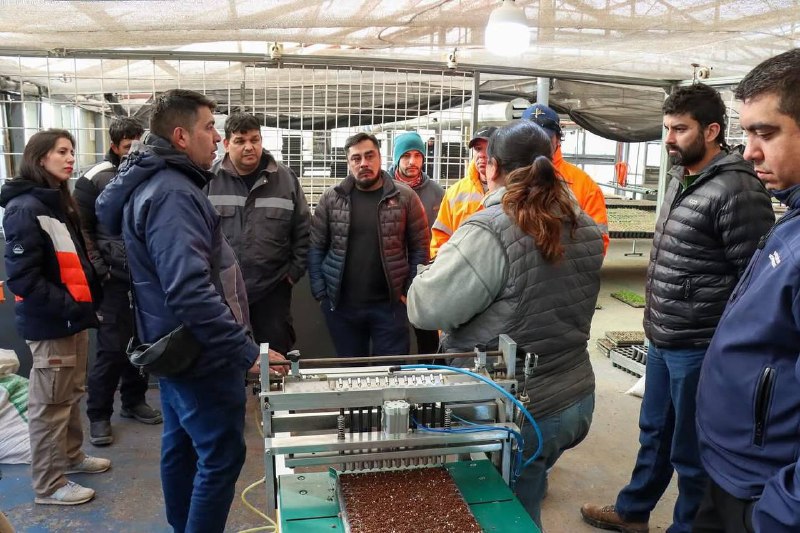 Tolhuin y Río Grande fortalecen lazos con un intercambio de especies de vivero