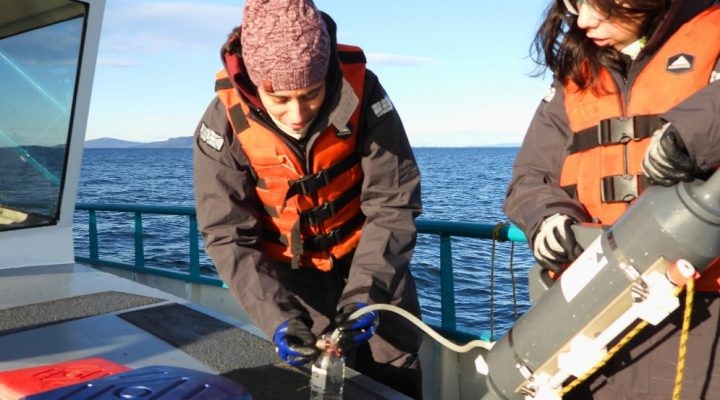 El Canal Beagle, bajo la lupa científica para impulsar la acuicultura fueguina