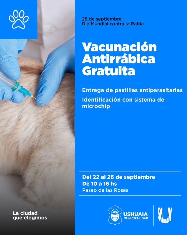 La Municipalidad De Ushuaia Impulsa La Semana Internacional Contra La Rabia Con Una Campaña De Vacunación Gratuita Para Perros Y Gatos