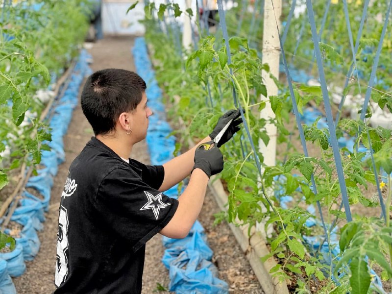ESTUDIANTES DE LA MISIÓN SALESIANA COMENZARON SUS PRÁCTICAS PROFESIONALIZANTES EN LA PRODUCCIÓN DE RGA ALIMENTOS