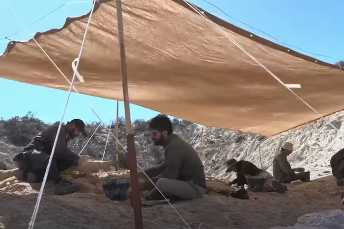 La Patagonia Prehistórica se Exhibe en Vivo: Una Ventana a los Últimos Dinosaurios