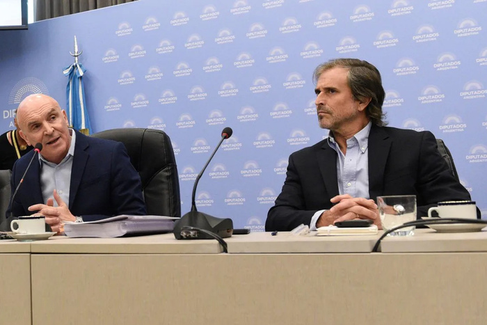 Espert Abandona la Comisión de Presupuesto Tras su Renuncia a la Candidatura